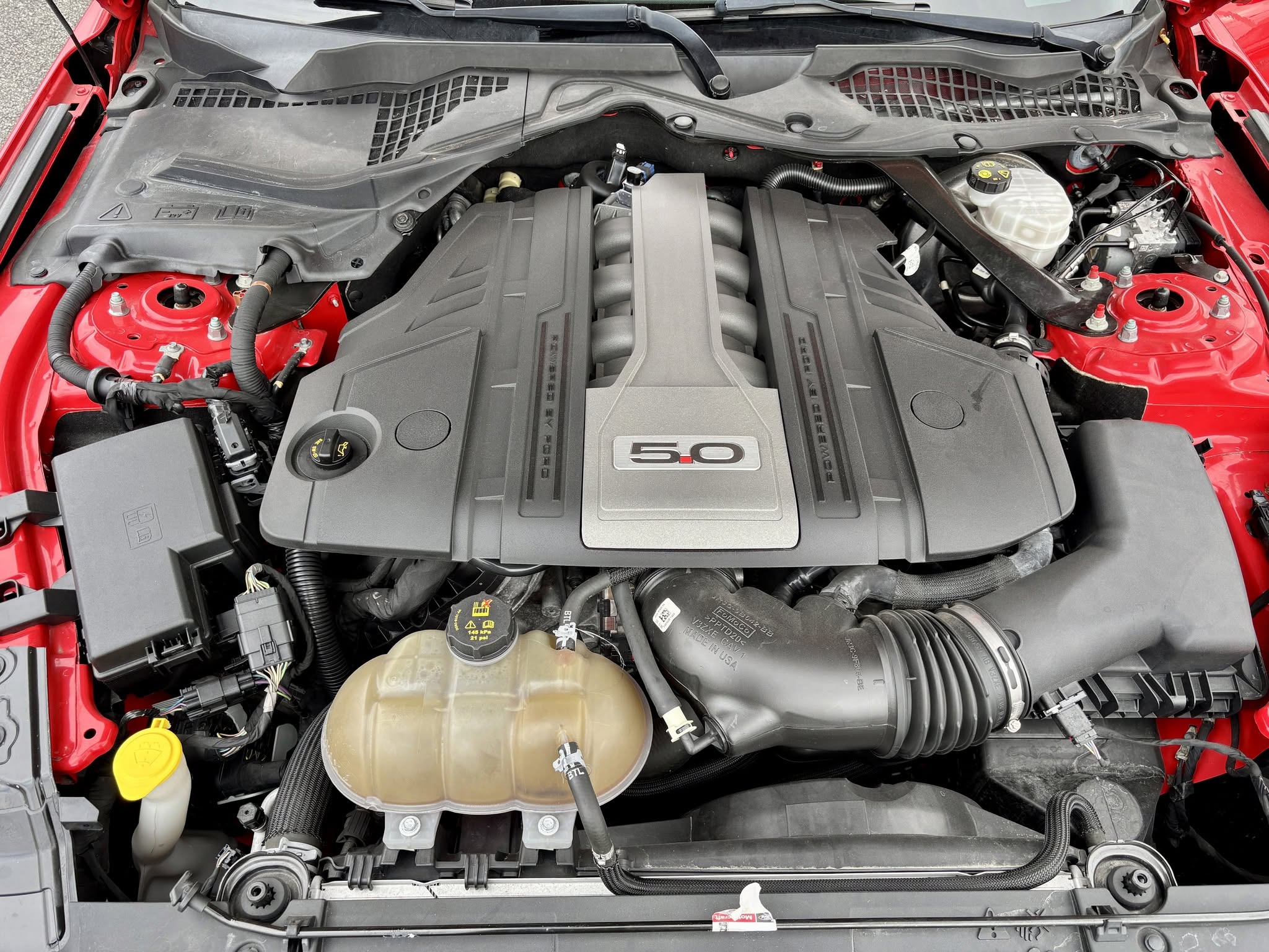 Ford Mustang Fastback GT 2018, photo 7