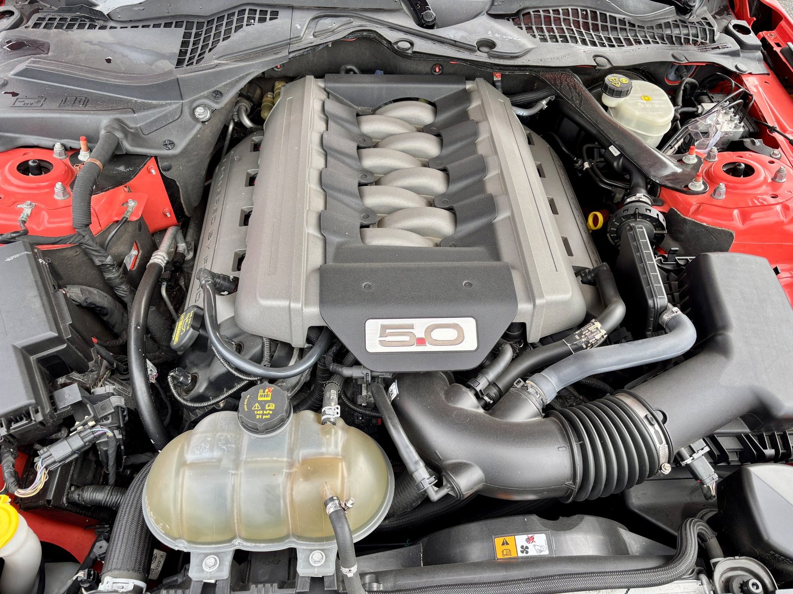 Ford Mustang Fastback GT Premium Recaro 2015, photo 7